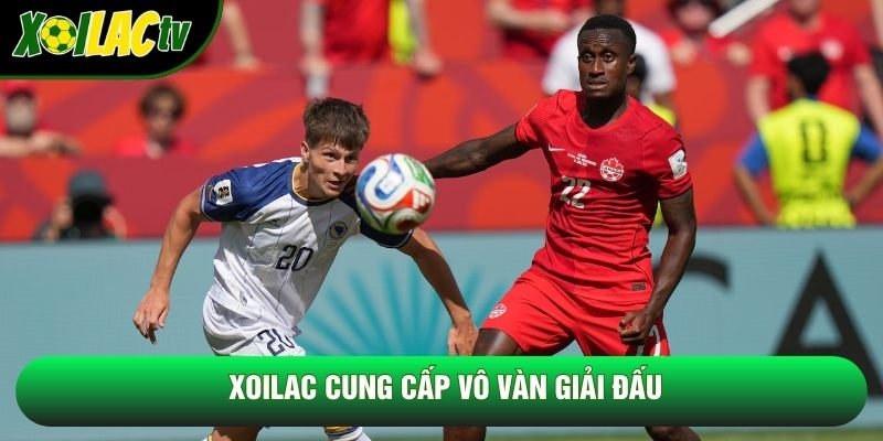 Xoilac cung cấp vô vàn giải đấu